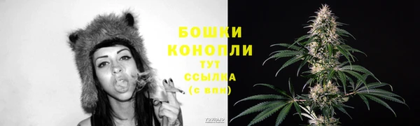 гашик Осташков