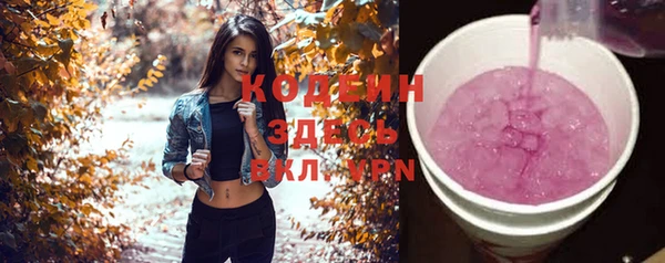 гашик Осташков
