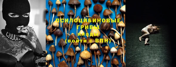 гашик Осташков
