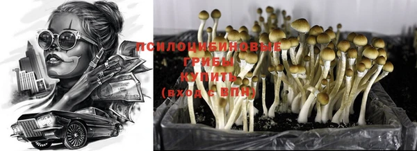 mix Осинники