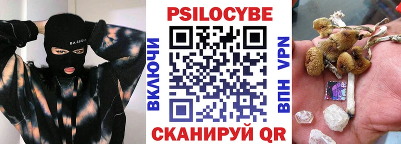 что такое Спас-Деменск кракен зеркало Псилоцибиновые грибы Magic Shrooms